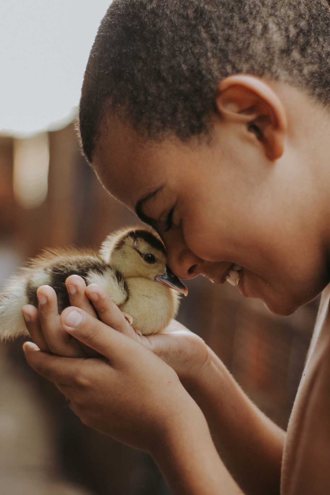 A child and a duckling, forehead to forehead.
