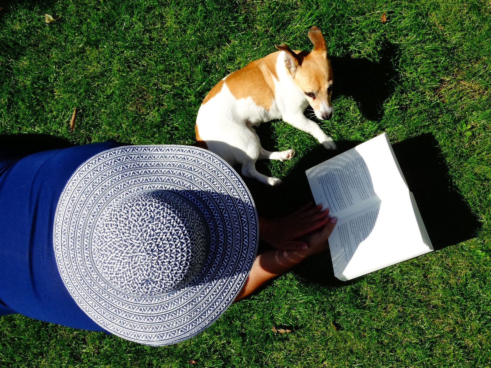 Reading on the grass, a dog for company.